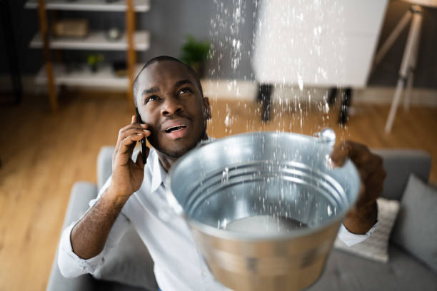 Best 24-hour water damage restoration  in Mount Prospect, IL