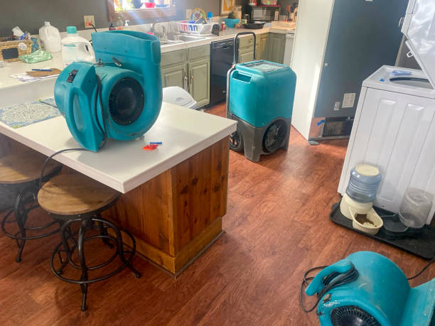 Best Ceiling water damage repair  in Mount Prospect, IL