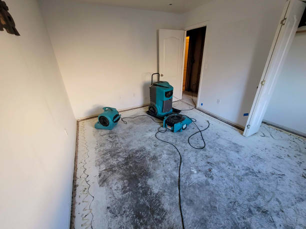 Best Water damage restoration near me  in Mount Prospect, IL