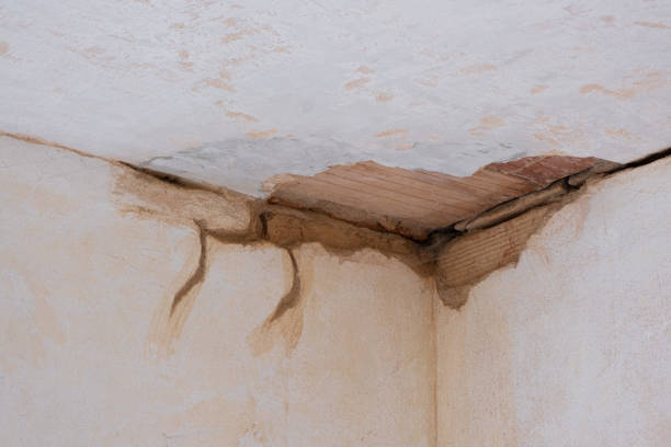 Best Basement water damage restoration  in Mount Prospect, IL