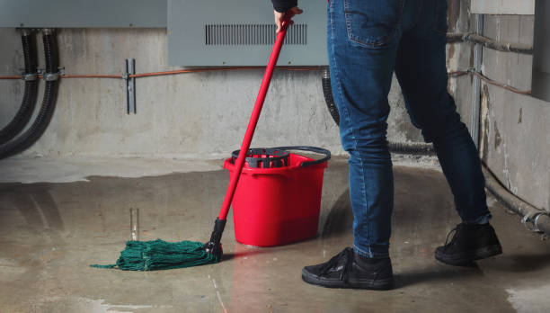 Best Residential water damage restoration  in Mount Prospect, IL