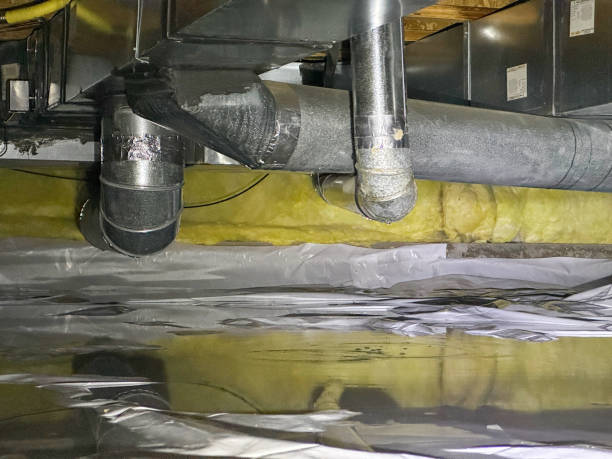 Best Emergency water damage restoration  in Mount Prospect, IL