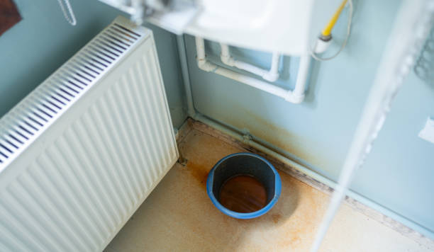Best Fire Damage Restoration  in Mount Prospect, IL