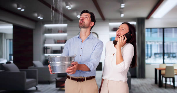  Mount Prospect, IL Water damage restoration Pros
